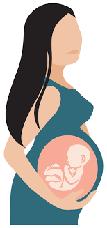Pregnancy